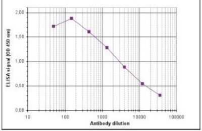 ELISA: Histone H3 [Methyl Lys4] Antibody [NBP2-59150] - To determine the titer, an ELISA was performed using a serial dilution of the antibody directed against H3K4me1. The antigen used was a peptide containing the histone modification of interest. By plotting the absorbance against the antibody dilution, the titer of the antibody was estimated to be 1:3,800.